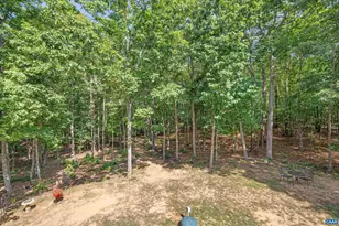 306 Rosewood Dr, Scottsville, VA 24590 - Photo 27