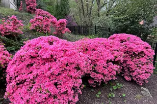 950 25th NW, Washington, DC 20037 - Photo 41