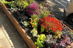 1717 Euclid St NW, Washington, DC 20009 - Photo 23