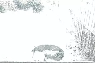 817 51st St NE, Washington, DC 20019 - Photo 9