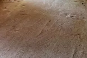 2544 34th St SE, Washington, DC 20020 - Photo 13