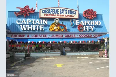 1101 3rd Street SW #104, Washington, DC 20024 - Photo 67