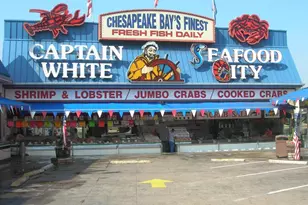 1101 3rd St SW, Washington, DC 20024 - Photo 67