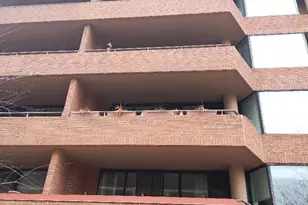 2141 P St NW, Washington, DC 20037 - Photo 3