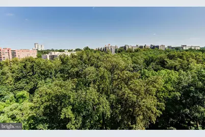 4201 Cathedral Avenue NW #1411E, Washington, DC 20016 - Photo 43