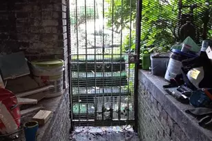 1116 Allison St NW, Washington, DC 20011 - Photo 41