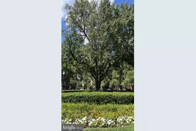 3401 38th Street NW #1B-617-204, Washington, DC 20016 - Photo 13