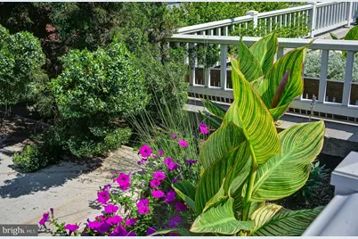 1111 11th Street NW #304, Washington, DC 20001 - Photo 17