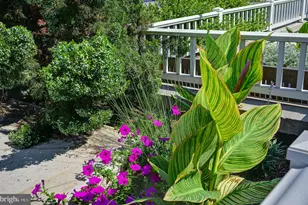 1111 11th St NW, Washington, DC 20001 - Photo 17