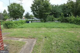 4942 Blaine St NE, Washington, DC 20019 - Photo 5