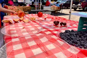 1340 4th St SW, Washington, DC 20024 - Photo 27