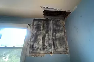 2515 Fairlawn Ave SE, Washington, DC 20020 - Photo 13