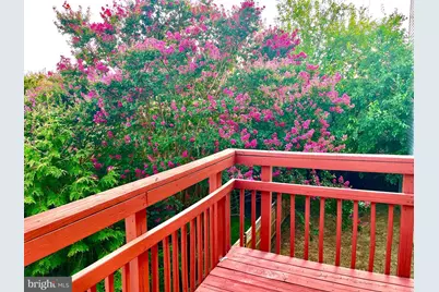 3540 Warder Street NW, Washington, DC 20010 - Photo 15