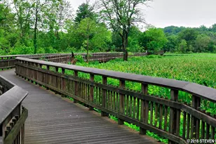 2241 16th St NE, Washington, DC 20018 - Photo 31