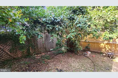 459 M Street NW #C, Washington, DC 20001 - Photo 7