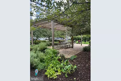 1101 3rd Street SW #306, Washington, DC 20024 - Photo 9