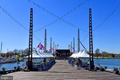 354 N Street SW #354, Washington, DC 20024 - Photo 45