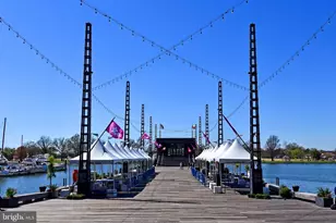 354 N St SW, Washington, DC 20024 - Photo 45