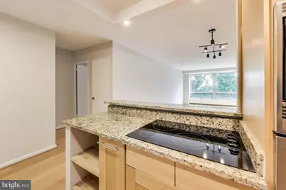 1435 4th Street SW #B609, Washington, DC 20024 - Photo 13