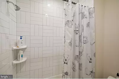 1817 Lamont Street NW #1, Washington, DC 20010 - Photo 37