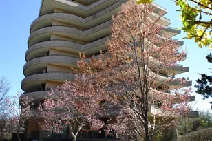 4200 NW Massachusetts Ave NW, Washington, DC 20016 - Photo 1