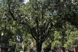 3401 38th Street NW, Washington, DC 20016 - Photo 15