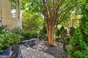 2131 S St NW, Washington, DC 20008 - Photo 5