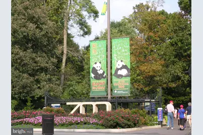 1690 Euclid Street NW #A, Washington, DC 20009 - Photo 35