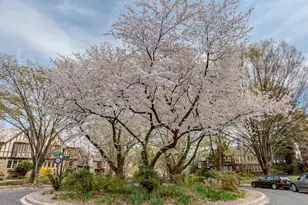 4415 Greenwich Pkwy NW, Washington, DC 20007 - Photo 39