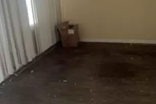 722 Shepherd St NW, Washington, DC 20011 - Photo 41