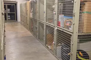 701 NW Pennsylvania Ave NW, Washington, DC 20004 - Photo 29