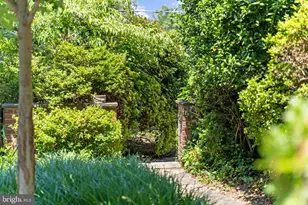 3111 Idaho Ave NW, Washington, DC 20016 - Photo 5