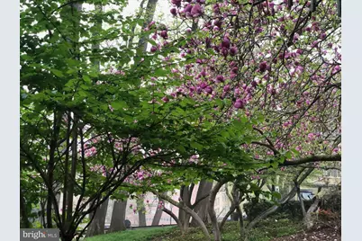 4100 Cathedral Avenue NW #615, Washington, DC 20016 - Photo 27