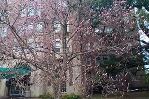 4000 Cathedral Ave NW, Washington, DC 20016 - Photo 37