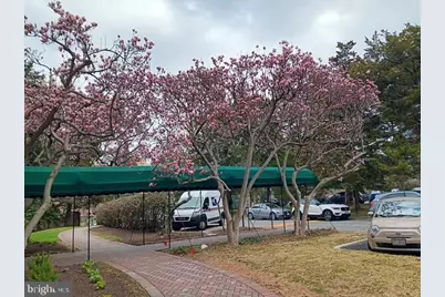 4000 Cathedral Avenue NW #607B, Washington, DC 20016 - Photo 41