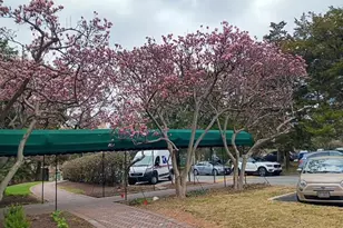 4000 Cathedral Ave NW, Washington, DC 20016 - Photo 41