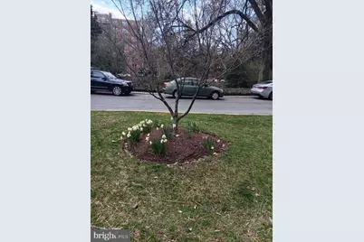 4000 Cathedral Avenue NW #607B, Washington, DC 20016 - Photo 43