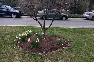 4000 Cathedral Ave NW, Washington, DC 20016 - Photo 43