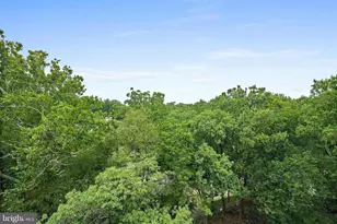 4101 Cathedral Ave NW, Washington, DC 20016 - Photo 41