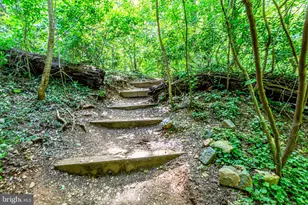 4101 Cathedral Ave NW, Washington, DC 20016 - Photo 61