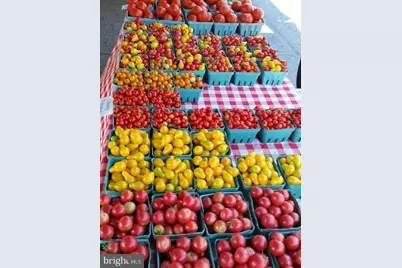 1348 Underwood Street NW, Washington, DC 20012 - Photo 57