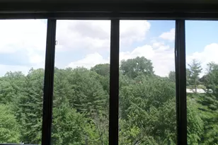 2939 Van Ness St NW, Washington, DC 20008 - Photo 5