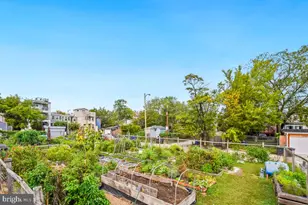 321 18th St SE, Washington, DC 20003 - Photo 29