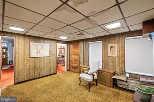 351 11th St SE, Washington, DC 20003 - Photo 11