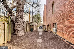 1441 Euclid St NW, Washington, DC 20009 - Photo 17