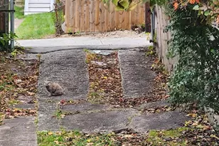 2330 14th Pl SE, Washington, DC 20020 - Photo 17