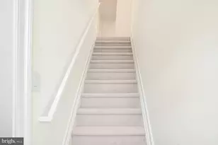 4317 Windom Pl NW, Washington, DC 20016 - Photo 35