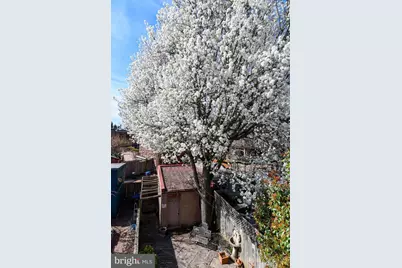 1323 Massachusetts Avenue SE, Washington, DC 20003 - Photo 43