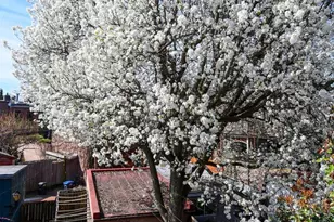 1323 Massachusetts Ave SE, Washington, DC 20003 - Photo 43