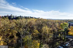 4201 Cathedral Ave NW, Washington, DC 20016 - Photo 3